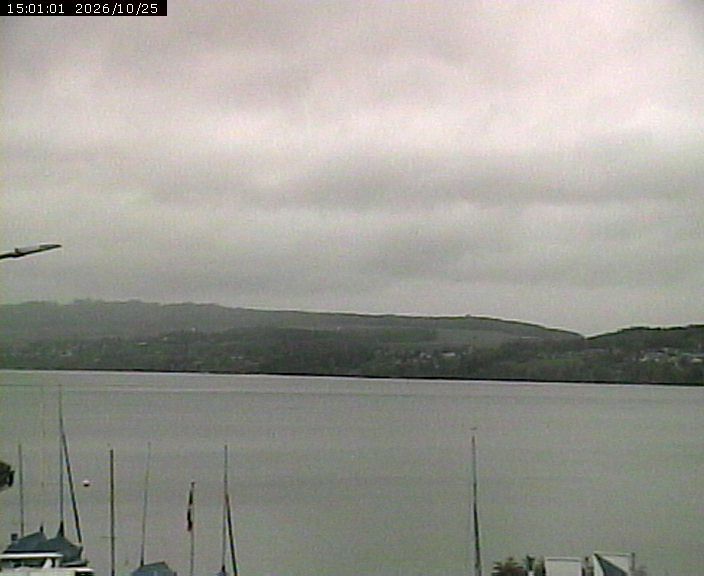 Beinwil am See: Hallwilersee Nord 1