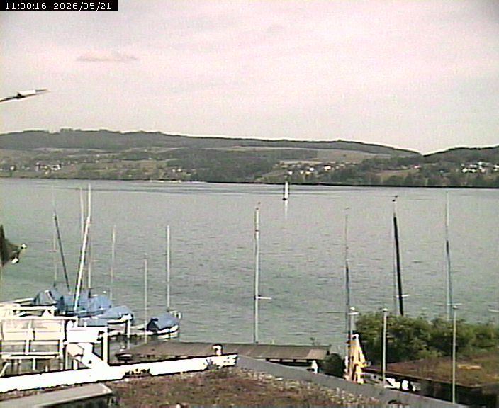 Beinwil am See: Hallwilersee Nord 1