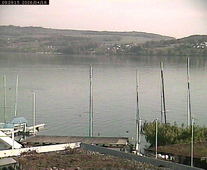 Beinwil am See: Hallwilersee Nord 1