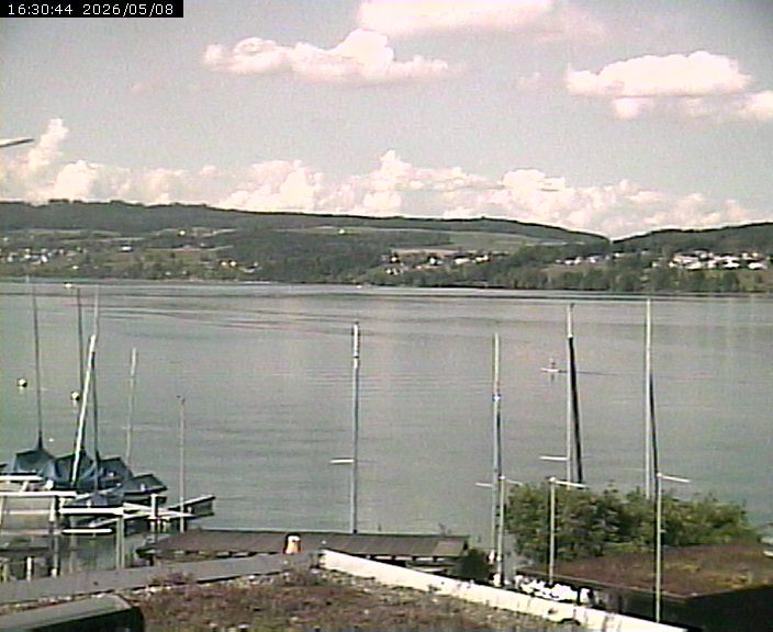 Beinwil am See: Hallwilersee Nord 1