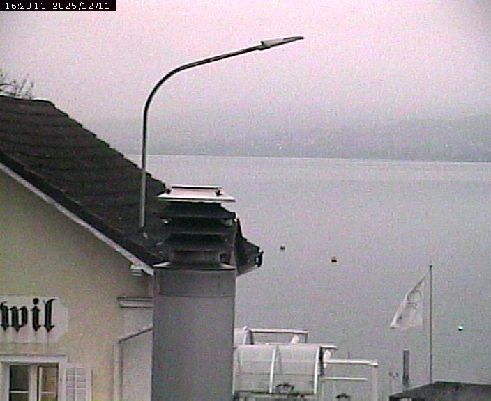 Beinwil am See: Hallwilersee Nord 1