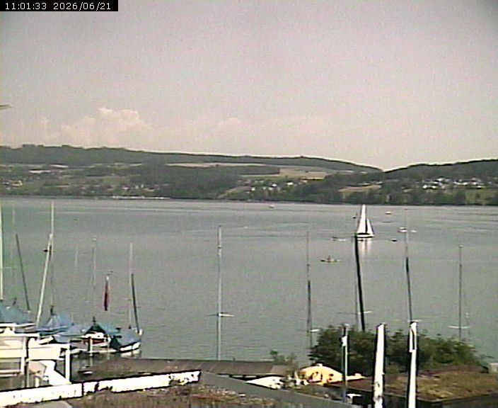 Beinwil am See: Hallwilersee Nord 1
