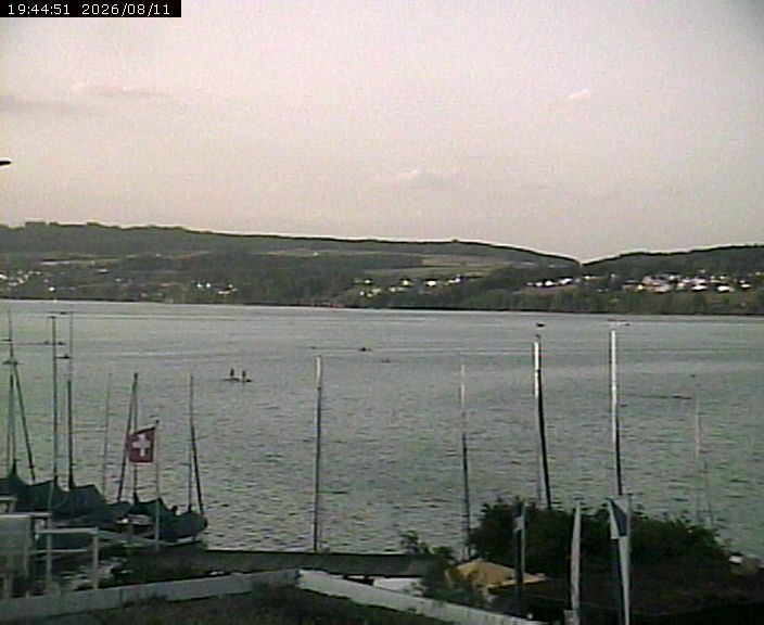 Beinwil am See: Hallwilersee Nord 1