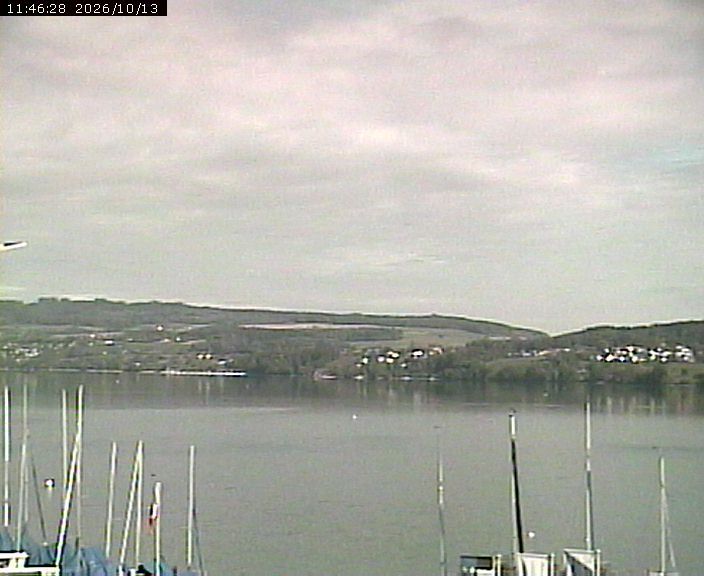 Beinwil am See: Hallwilersee Nord 1