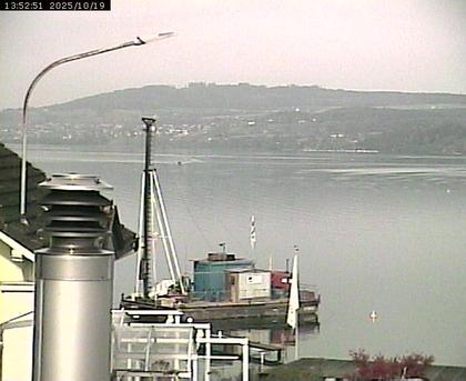 Beinwil am See: Hallwilersee Nord 1