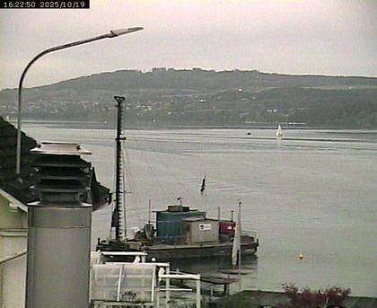 Beinwil am See: Hallwilersee Nord 1