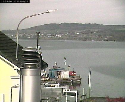 Beinwil am See: Hallwilersee Nord 1