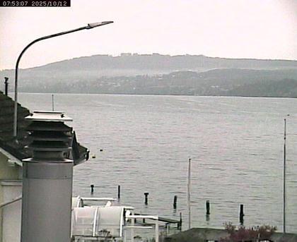 Beinwil am See: Hallwilersee Nord 1