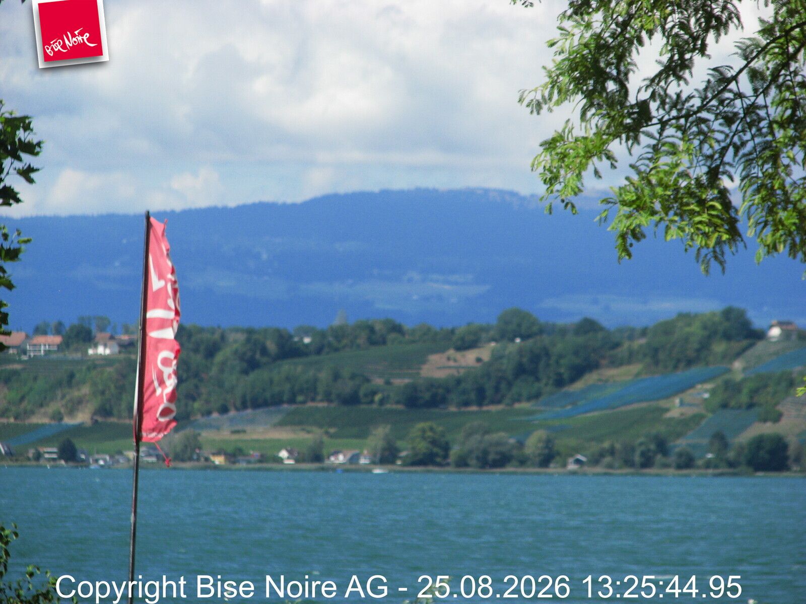 Muntelier › Nordwesten: Lake Murten