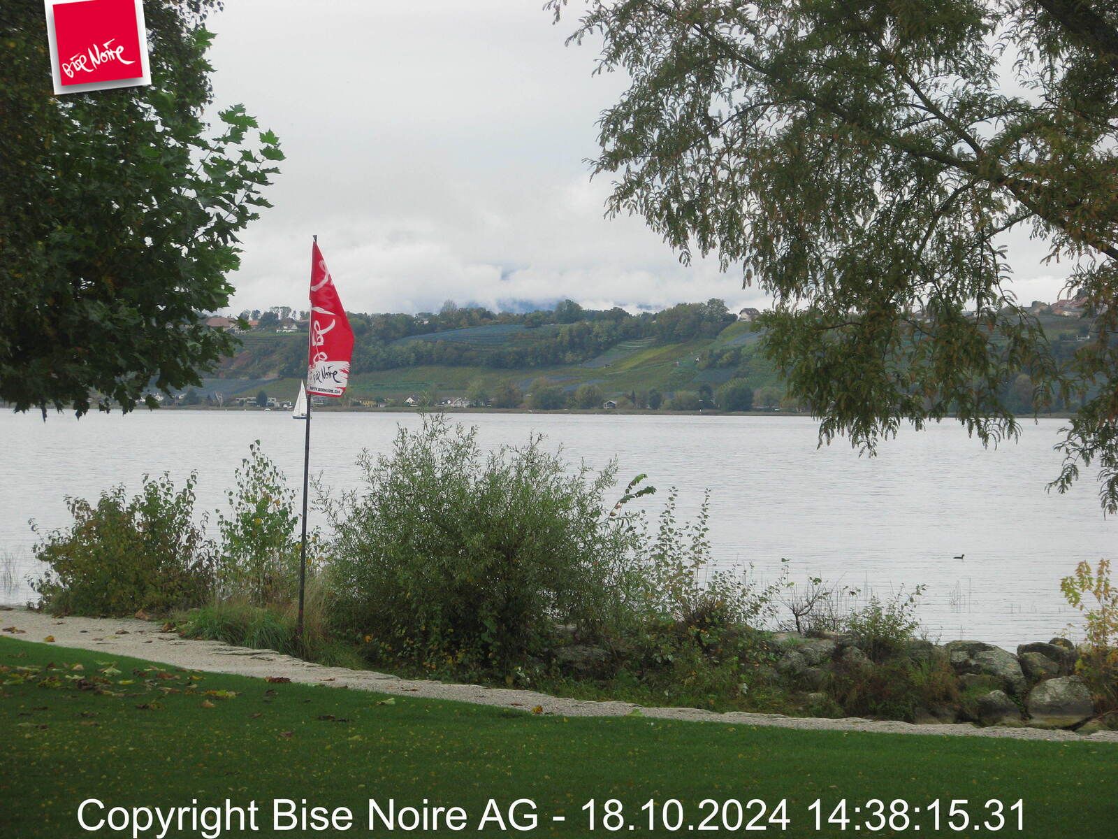 Muntelier › Nord-West: Lake Murten