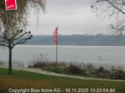 Muntelier › Nordwesten: Lake Murten