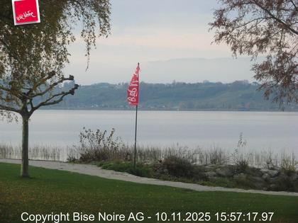 Muntelier › Nord-West: Lake Murten