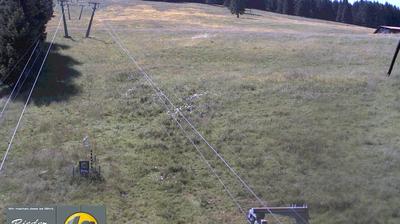 Stollenbach Ski Lift: Mountain Forest Escape