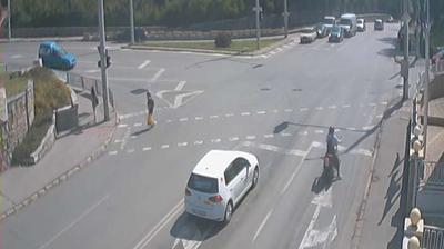 Mogiliov Traffic Watch