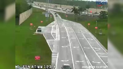 Corkscrew Traffic: Shadow Wood