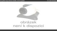 Svidnik: Koupaliště Aquaruthenia - Letní koupaliště