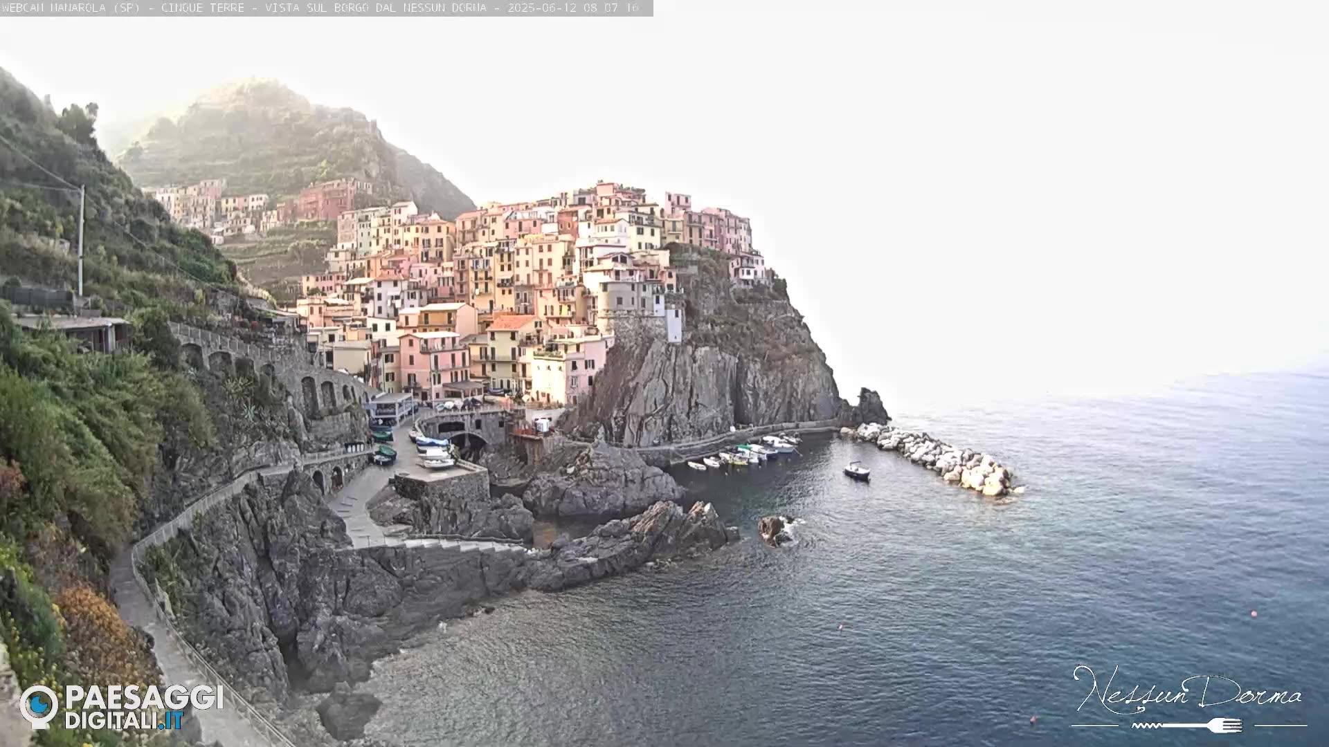 Riomaggiore coast Webcam