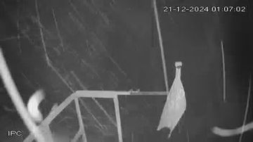 Traffic Cam Razlog
