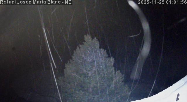 Traffic Cam Espot: Estany Tort de Peguera