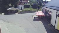 Olsany