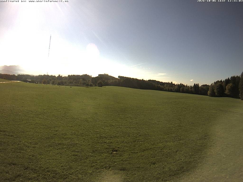 Waldkirch › Süden: Ebnet 735 - Oberwaldstrasse