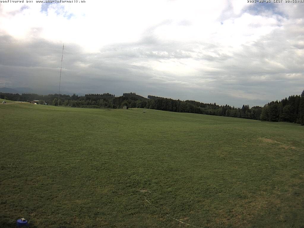 Waldkirch › Süden: Ebnet 735 - Oberwaldstrasse