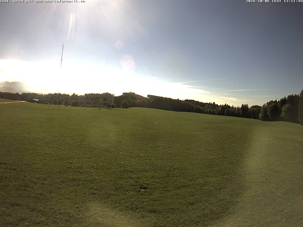 Waldkirch › Süden: Ebnet 735 - Oberwaldstrasse
