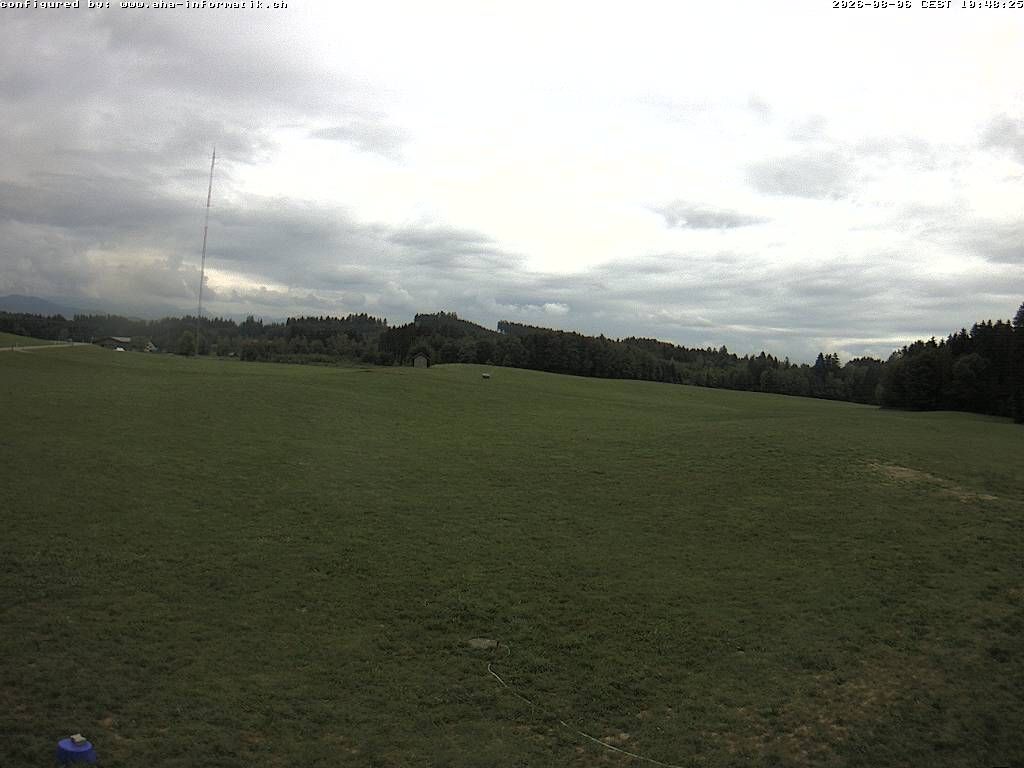 Waldkirch › Süden: Ebnet 735 - Oberwaldstrasse