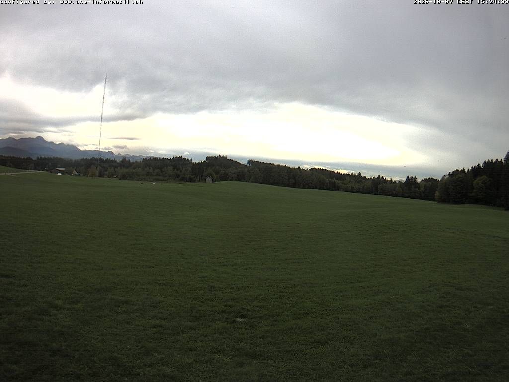 Waldkirch › Süden: Ebnet 735 - Oberwaldstrasse