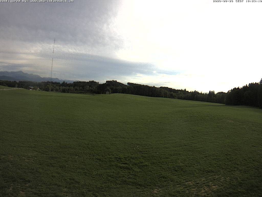 Waldkirch › Süden: Ebnet 735 - Oberwaldstrasse