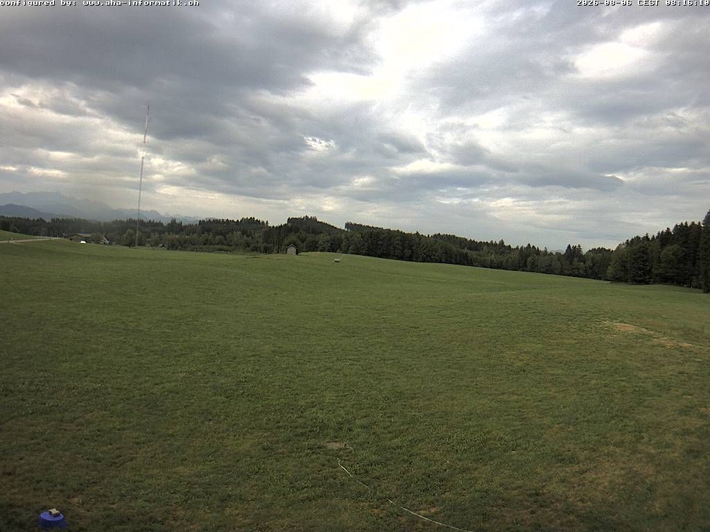 Waldkirch › Süden: Ebnet 735 - Oberwaldstrasse