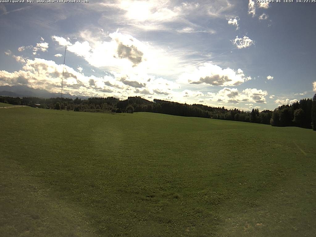 Waldkirch › Süden: Ebnet 735 - Oberwaldstrasse