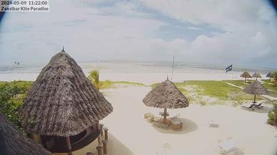 Vista de cámara web de luz diurna desde Paje: Zanzibar Kite Paradise Kitesurf Center