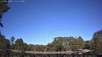 Southern Pines: › East: Fly Rod Lake - Recent