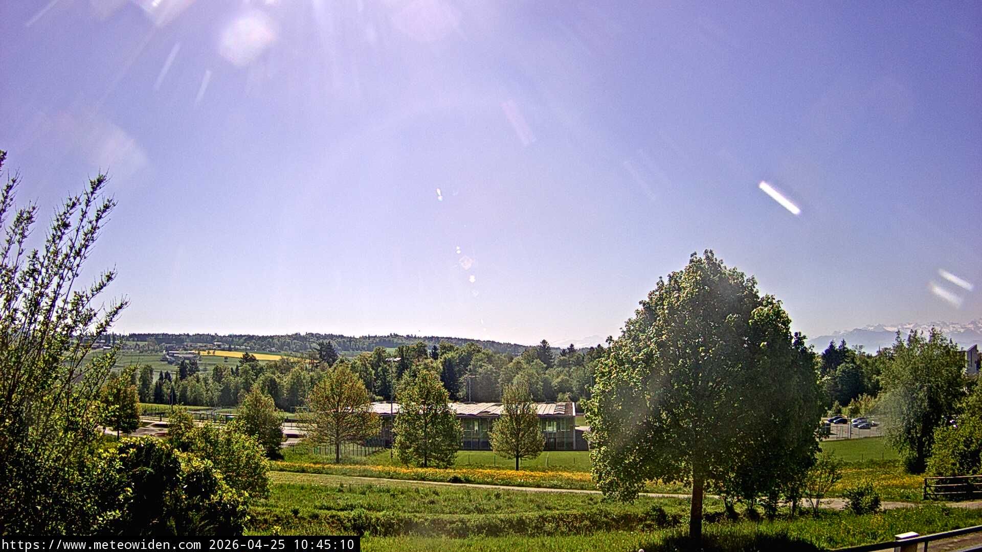 Widen › Südosten: Burkertsmatt