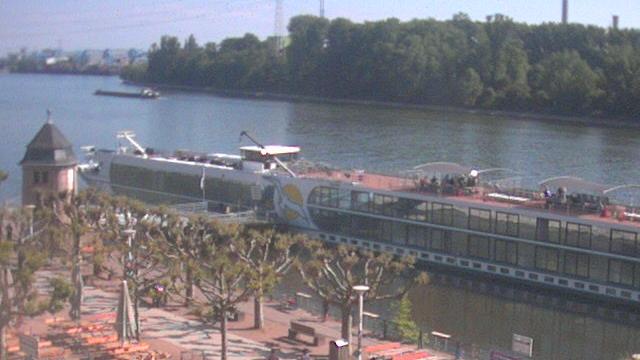 Biebrich: Scenic Rhine River View Webcam