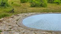 Maroela Campsite: Satara Webcam