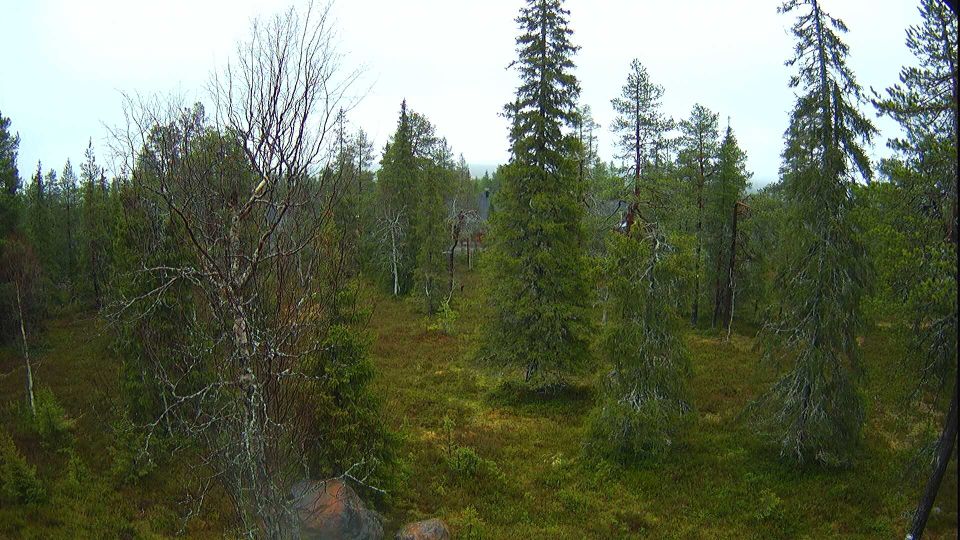 Kuusamo during daytime