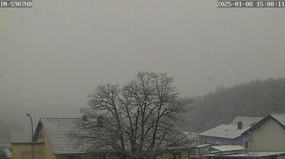 Baltersweiler weather webcam