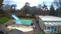Garderen › North: Camping De Hertshoorn