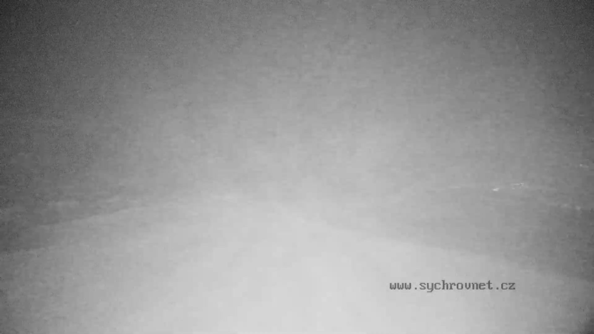 Traffic Cam Velka Lhota
