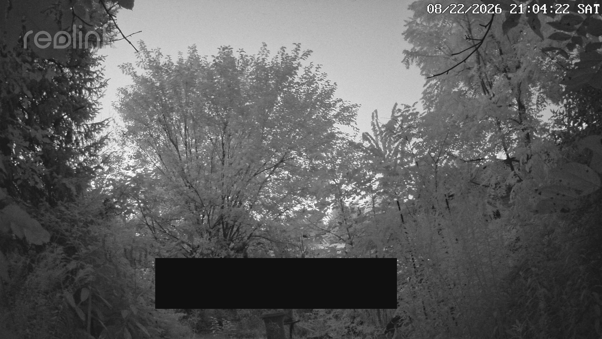 Traffic Cam Adrian › North
