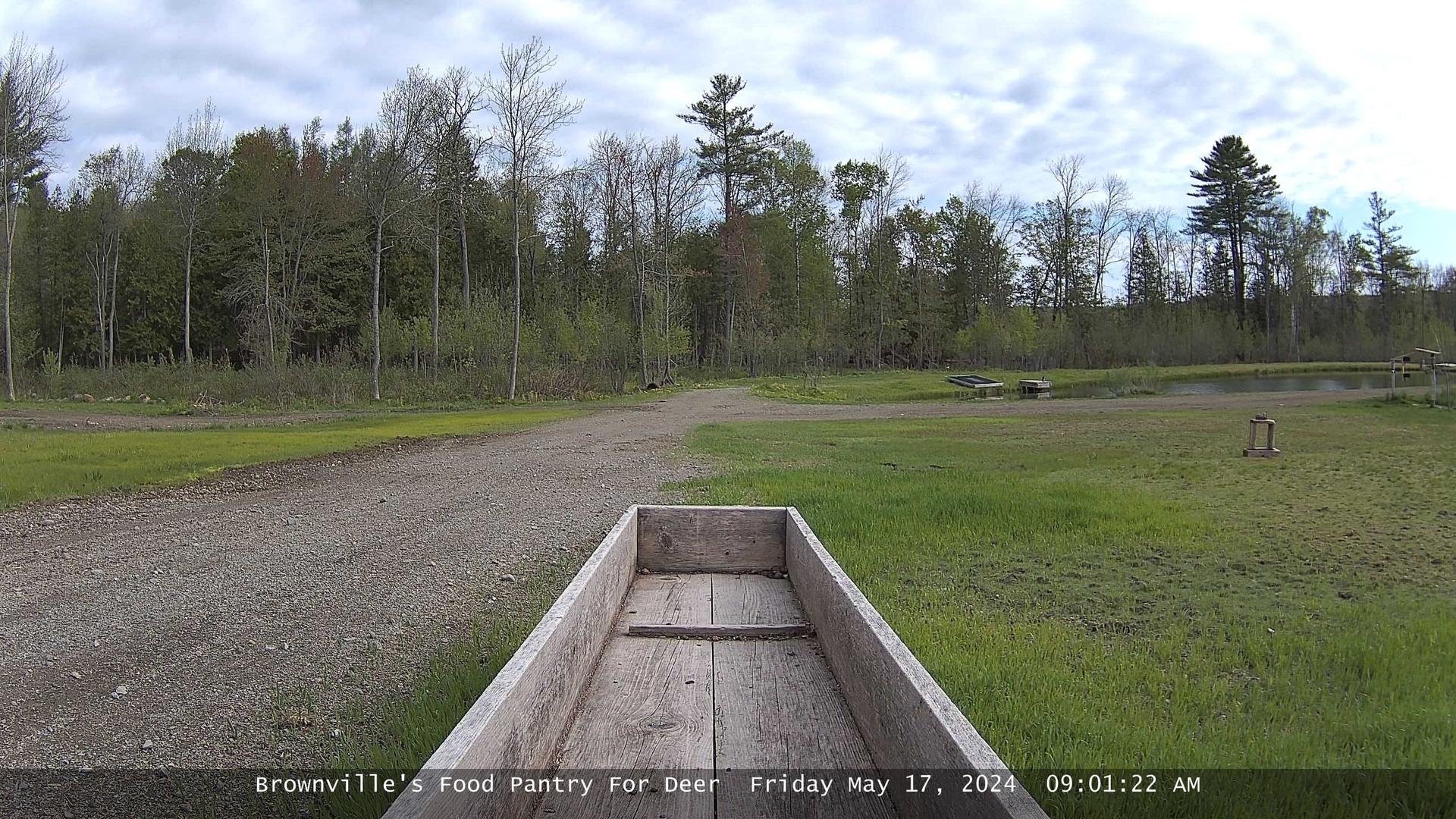 Traffic Cam Brownville