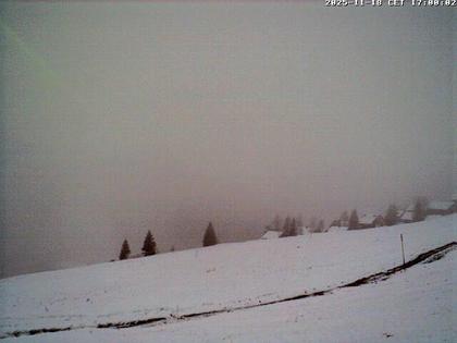 Altdorf: Ski und Wandergebiet Eggbergen, Uri (1450müM)