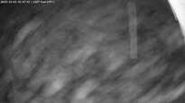 Lommis: Airfield - Cam East