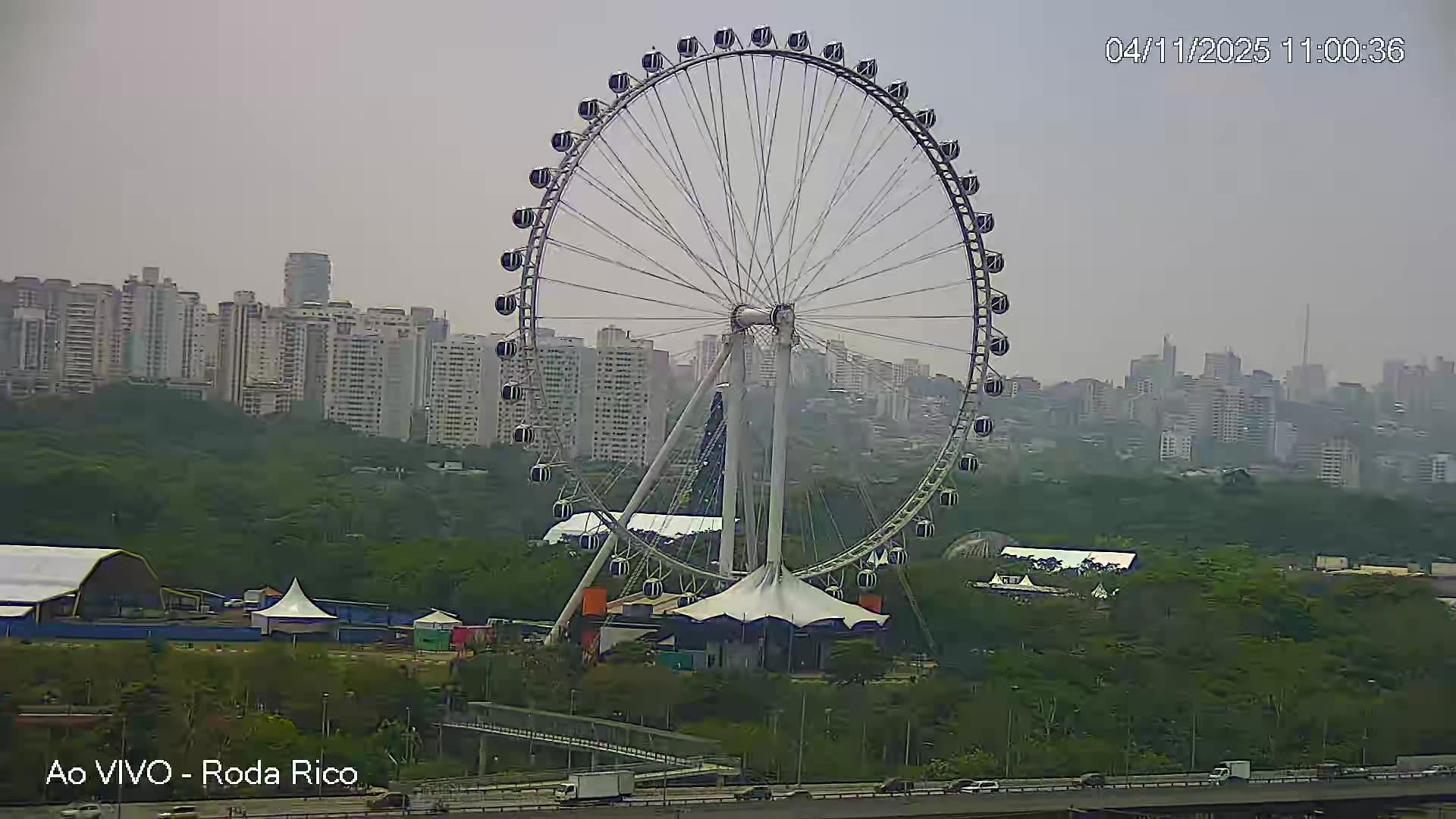 Cotia durante o dia Cotia durante o dia