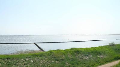 Nebel: Amrum