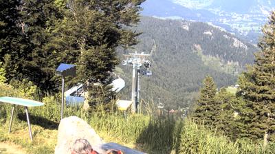 Hinterm Faden forest webcam