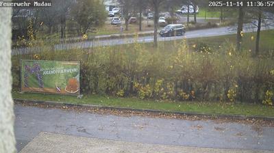 Mudau Daglicht Webcam Image Mudau Daglicht Webcam Image