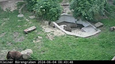 Torgau Castle & Bear Exhibit